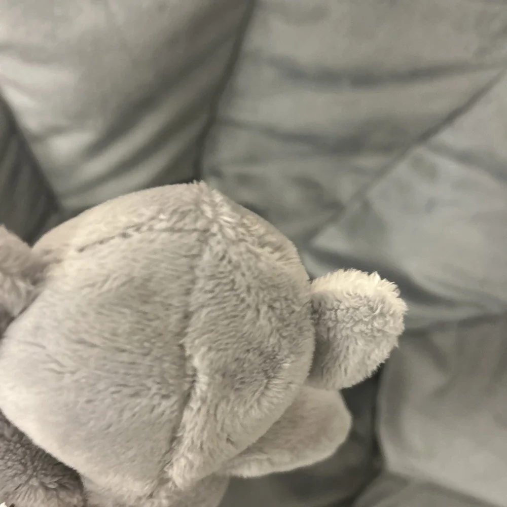 Baby Gund Toothpick Shay Koala Bear Gray Plush Sewn Eyes 12